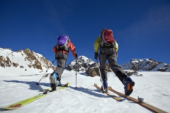 Two ski tourers skiing towards the Gran Zebru